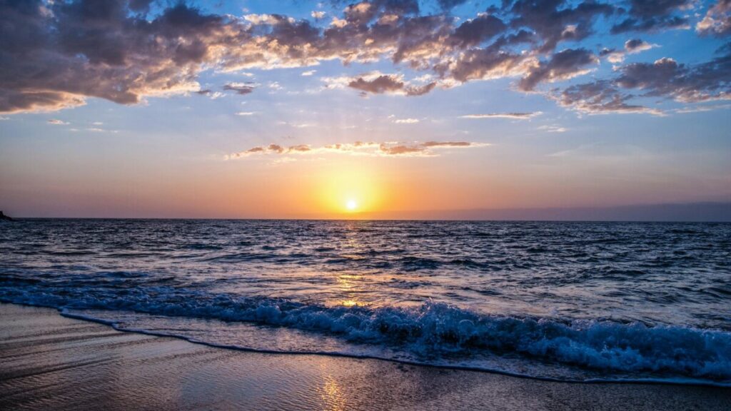 beach during sunset